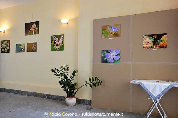 Mostra fotografica 